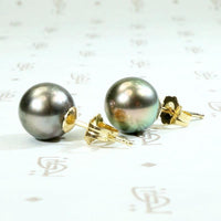Decadent Dark Grey Pearl Studs in Gold