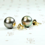 Decadent Dark Grey Pearl Studs in Gold