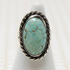 Blackbird's Egg Blue Turquoise in Silver Ring