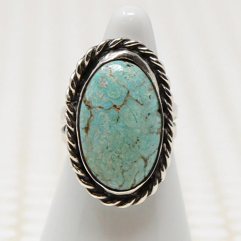 Blackbird's Egg Blue Turquoise in Silver Ring