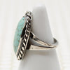 Blackbird's Egg Blue Turquoise in Silver Ring