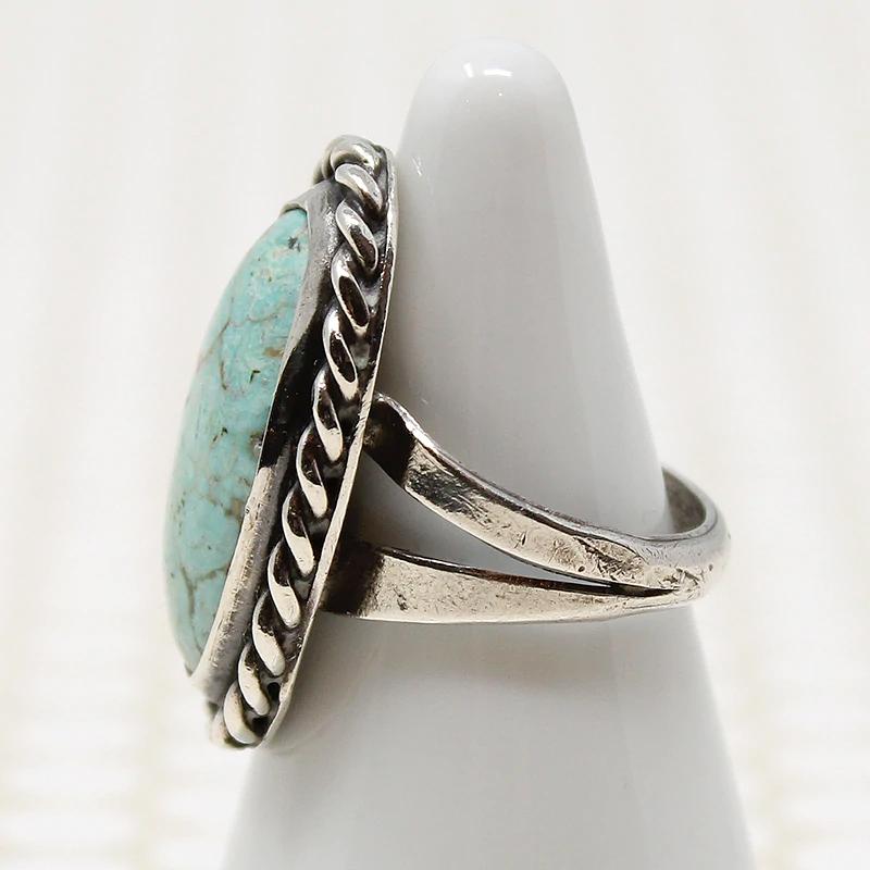 Blackbird's Egg Blue Turquoise in Silver Ring