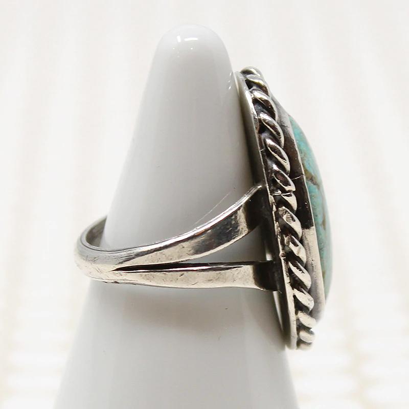 Blackbird's Egg Blue Turquoise in Silver Ring