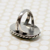Blackbird's Egg Blue Turquoise in Silver Ring