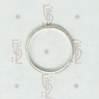 Forget Me Not White Gold Art Deco Band