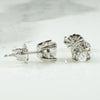 Old Euro Diamond Studs in Platinum