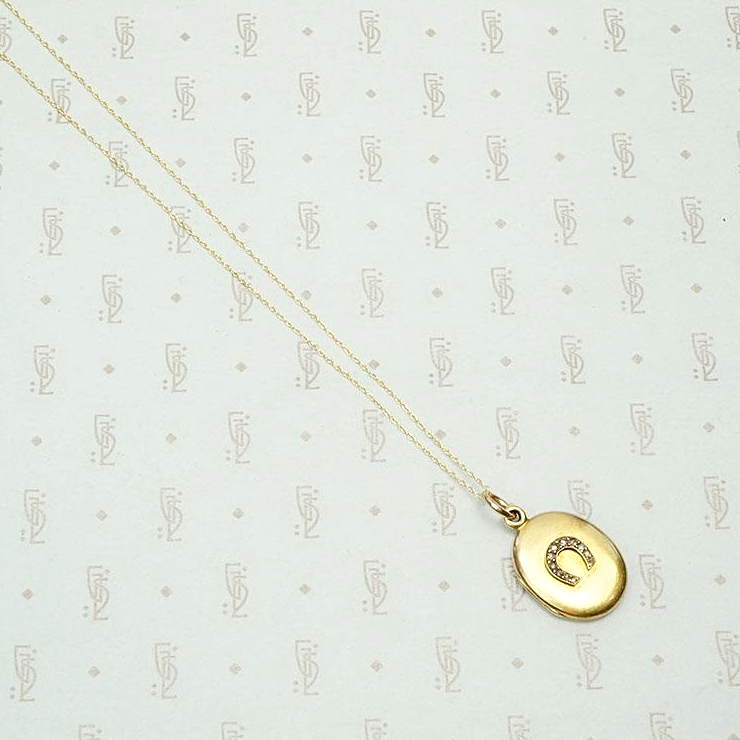 Elevated Victorian Horseshoe Locket