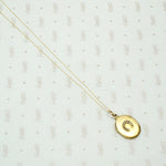 Elevated Victorian Horseshoe Locket