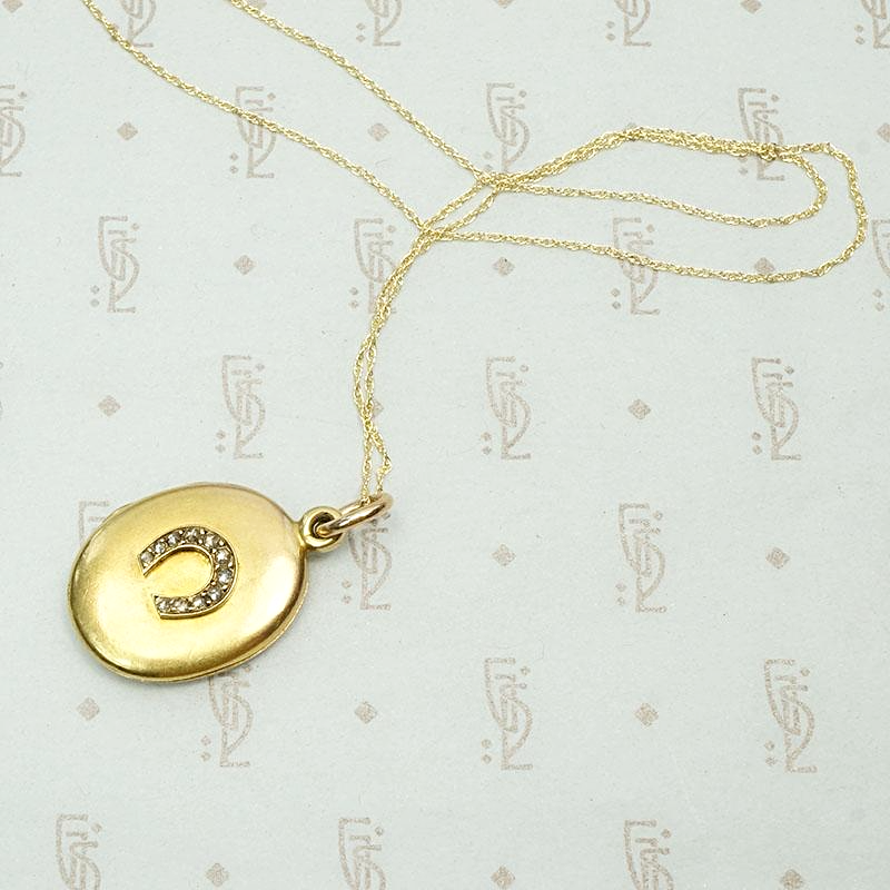 Elevated Victorian Horseshoe Locket