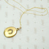Elevated Victorian Horseshoe Locket