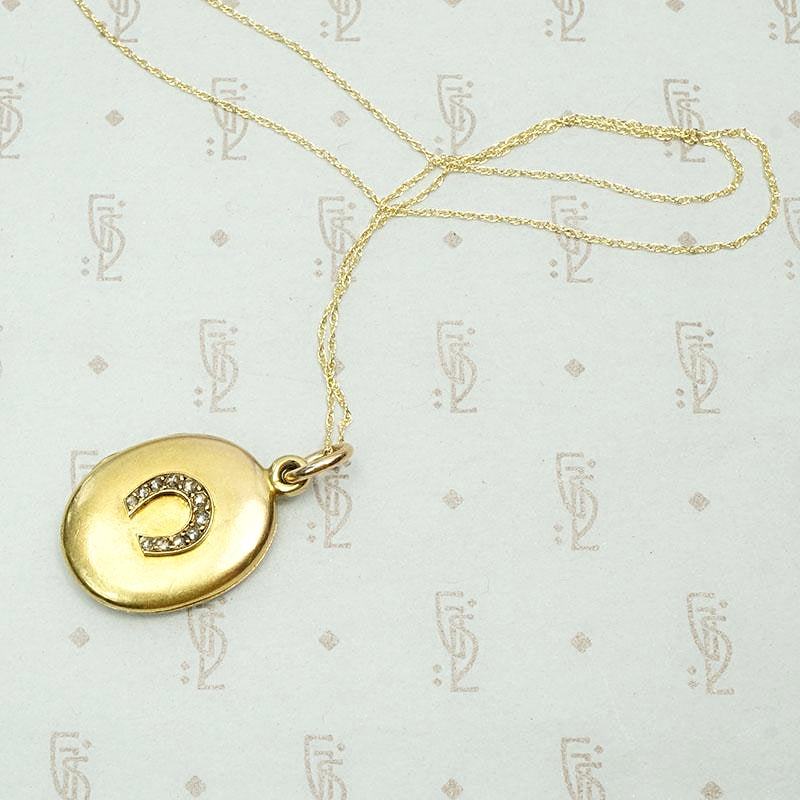 Elevated Victorian Horseshoe Locket