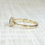 Sapphire & Diamond Blossom Platinum on 18ct Ring