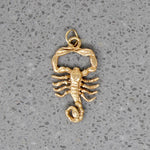 Naturalistic Scorpion Charm in 14k Gold
