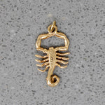 Naturalistic Scorpion Charm in 14k Gold