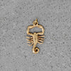 Naturalistic Little Scorpion Charm in 14k Gold