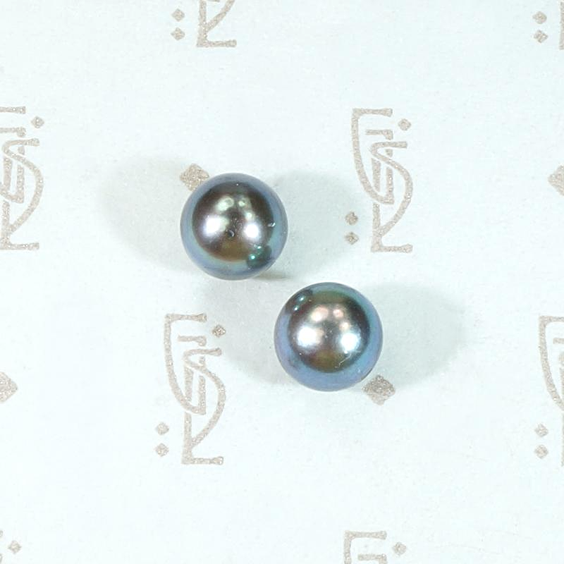 Dramatic Peacock Pearl Studs in Gold