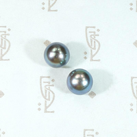 Dramatic Peacock Pearl Studs in Gold
