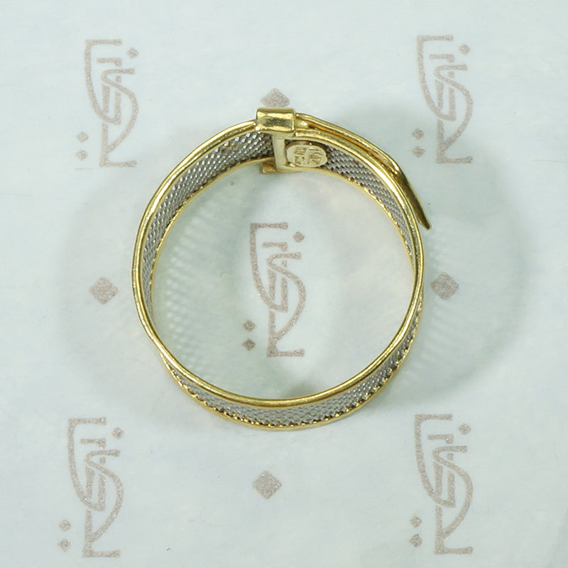 Platinum Mesh and 18k Gold Belt Band