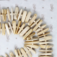 Fierce Petrified Walrus Tusk Necklace