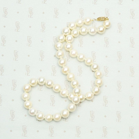 Dreamy Vintage Pearl Choker with Gold Clasp. Coiled view.