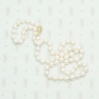 Timeless Staple 19" White Pearl Necklace. Coiled view.
