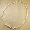 Blushing Angel Skin Coral Beads with Gold Clasp
