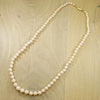 Blushing Angel Skin Coral Beads with Gold Clasp