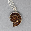 Pearlescent Ammonite Fossil in Sterling Pendant