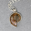 Pearlescent Ammonite Fossil in Sterling Pendant