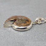 Pearlescent Ammonite Fossil in Sterling Pendant