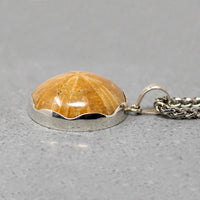 Honey-Colored Petrified Sand Dollar Pendant