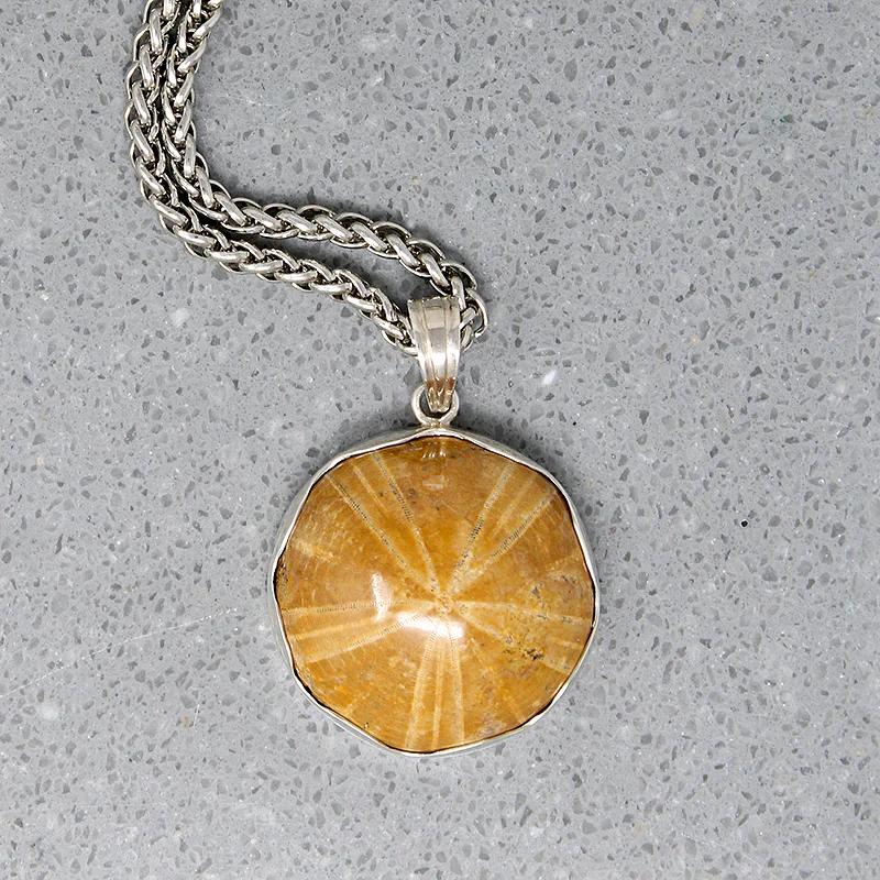 Honey-Colored Petrified Sand Dollar Pendant