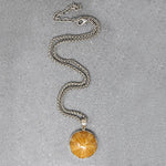 Honey-Colored Petrified Sand Dollar Pendant