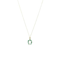 Gold & Turquoise Horseshoe Necklace