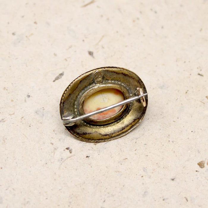 Coral-Colored Pâte de Verre in Brass Brooch