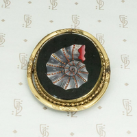 Victorian Seashell Brooch with a Tress of Auburn Hair