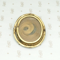 Victorian Seashell Brooch with a Tress of Auburn Hair