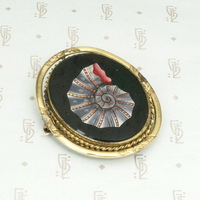 Victorian Seashell Brooch with a Tress of Auburn Hair