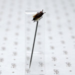 Victorian Fly Sterling Stick Pin 