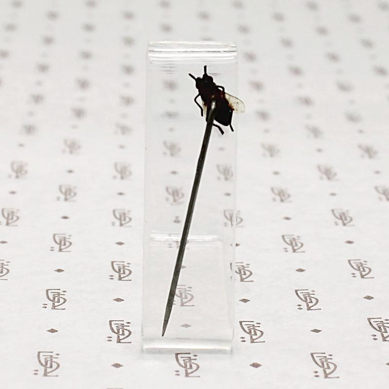 Victorian Fly Sterling Stick Pin