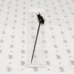 Victorian Fly Sterling Stick Pin