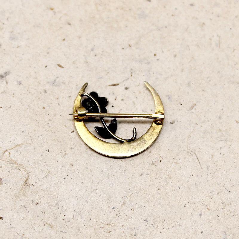 Dainty Victorian Forget Me Not & Crescent Moon Pin