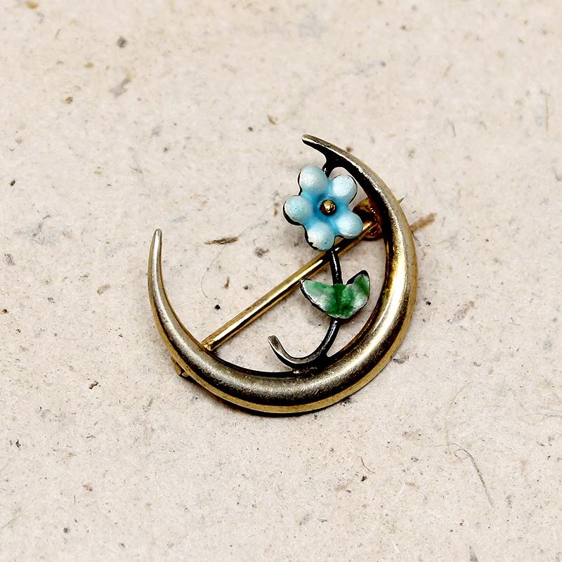 Dainty Victorian Forget Me Not & Crescent Moon Pin