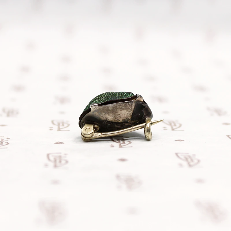 Natural Science Victorian Scarab Brooch