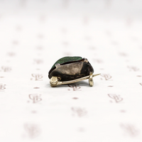 Natural Science Victorian Scarab Brooch