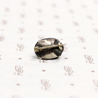 Natural Science Victorian Scarab Brooch