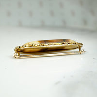 Antique Petrified Mastodon Tusk & Gold Nugget Brooch