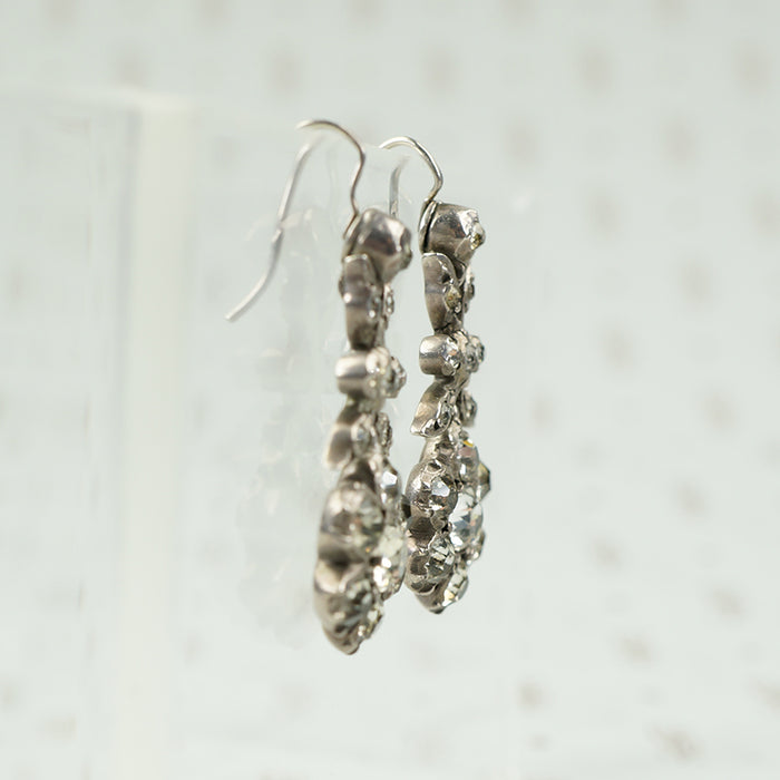 Early Floral Paste Earrings in Silver