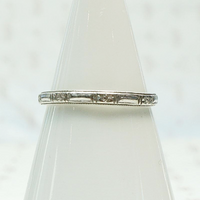 Art Deco Flowers and Bars Platinum Band