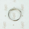 The Perfect Platinum and Diamond Vintage Band